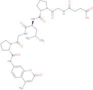 Suc-Gly-Pro-Leu-Gly-Pro-AMC