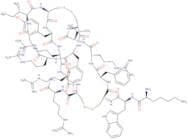 Tachyplesin I trifluoroacetate
