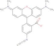 Tetramethylrhodamine-5-isothiocyanate