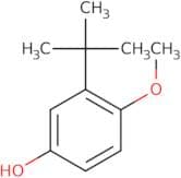 2-tert-Butyl-4-hydroxyanisole