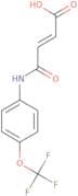3-(N-(4-(Trifluoromethoxy)phenyl)carbamoyl)prop-2-enoic acid