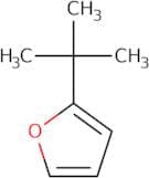 2-tert-butylfuran