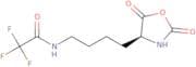 N6-Trifluoroacetyl-L-lysine N-carboxyanhydride