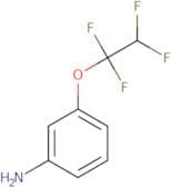 3-(1,1,2,2-Tetrafluoroethoxy)aniline