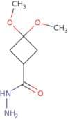 3,3-Dimethoxycyclobutane-1-carbohydrazide