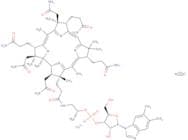 Vitamin B12 - cyanocobalamin 1%,carrier:Mannitol