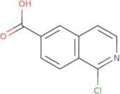 1-Chloroisoquinoline-6-carboxylic acid