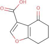 4-Oxo-4,5,6,7-tetrahydrobenzofuran-3-carboxylic acid