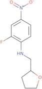 2-Fluoro-4-nitro-N-(oxolan-2-ylmethyl)aniline