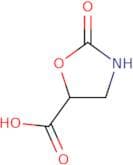 (5S)-2-Oxo-1,3-oxazolidine-5-carboxylic acid