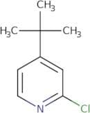 4-(tert-Butyl)-2-chloropyridine
