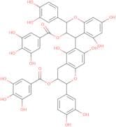 Procyanidin B-5 3,3'-di-o-gallate