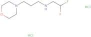 (2,2-Difluoroethyl)[3-(morpholin-4-yl)propyl]amine dihydrochloride