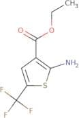 Ethyl 2-amino-5-(trifluoromethyl)thiophene-3-carboxylate
