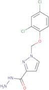 1-[(2,4-Dichlorophenoxy)methyl]-1H-pyrazole-3-carbohydrazide