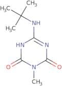 6-(tert-Butylamino)-3-methyl-1,3,5-triazine-2,4(1H,3H)-dione