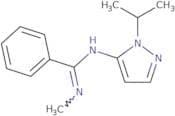 N-Methyl-N'-[1-(propan-2-yl)-1H-pyrazol-5-yl]benzenecarboximidamide