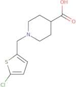 1-[(5-Chlorothiophen-2-yl)methyl]piperidine-4-carboxylic acid