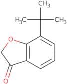7-tert-Butyl-2,3-dihydro-1-benzofuran-3-one