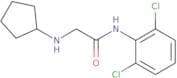 2-(Cyclopentylamino)-N-(2,6-dichlorophenyl)acetamide