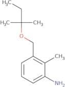 2-Methyl-3-{[(2-methylbutan-2-yl)oxy]methyl}aniline