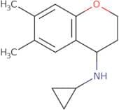 N-Cyclopropyl-6,7-dimethyl-3,4-dihydro-2H-1-benzopyran-4-amine