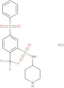 WAY 316606 hydrochloride