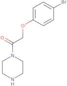 2-(4-Bromophenoxy)-1-(piperazin-1-yl)ethan-1-one