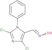 N-[(2,4-Dichloro-1-phenyl-1H-imidazol-5-yl)methylidene]hydroxylamine