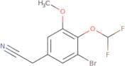 2-[3-Bromo-4-(difluoromethoxy)-5-methoxyphenyl]acetonitrile