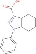 1-Phenyl-4,5,6,7-tetrahydro-1h-indazole-3-carboxylic acid
