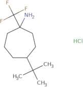 4-tert-Butyl-1-(trifluoromethyl)cycloheptan-1-amine hydrochloride