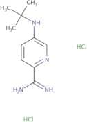 5-(tert-Butylamino)pyridine-2-carboximidamide dihydrochloride