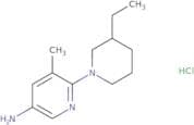 6-(3-Ethylpiperidin-1-yl)-5-methylpyridin-3-amine hydrochloride
