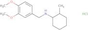 N-[(3,4-Dimethoxyphenyl)methyl]-2-methylcyclohexan-1-amine hydrochloride