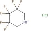 3,3,4,4,5,5-Hexafluoropiperidine hydrochloride