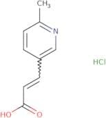 3-(6-Methylpyridin-3-yl)prop-2-enoic acid hydrochloride