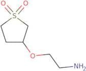2-​[(Tetrahydro-​1,​1-​dioxido-​3-​thienyl)​oxy]​-ethanamine
