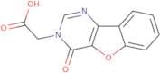 (4-Oxo[1]benzofuro[3,2-d]pyrimidin-3(4H)-yl)acetic acid