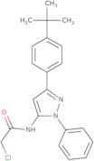 N-[3-(4-tert-Butylphenyl)-1-phenyl-1H-pyrazol-5-yl]-2-chloroacetamide