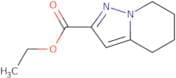 Ethyl 4,5,6,7-tetrahydropyrazolo[1,5-a]pyridine-2-carboxylate