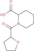 1-(Oxolane-2-carbonyl)piperidine-2-carboxylic acid