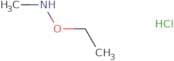 Ethoxy(methyl)amine hydrochloride