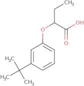 2-(3-tert-Butylphenoxy)butanoic acid