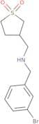 3-({[(3-Bromophenyl)methyl]amino}methyl)-1λ⁶-thiolane-1,1-dione