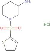(3R)-1-(Thiophene-2-sulfonyl)piperidin-3-amine hydrochloride