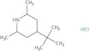 4-tert-Butyl-2,6-dimethylpiperidine hydrochloride