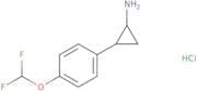 rac-(1R,2S)-2-[4-(Difluoromethoxy)phenyl]cyclopropan-1-amine hydrochloride