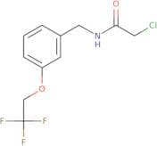 2-Chloro-N-{[3-(2,2,2-trifluoroethoxy)phenyl]methyl}acetamide