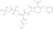 Ceftazidime t-butyl ester